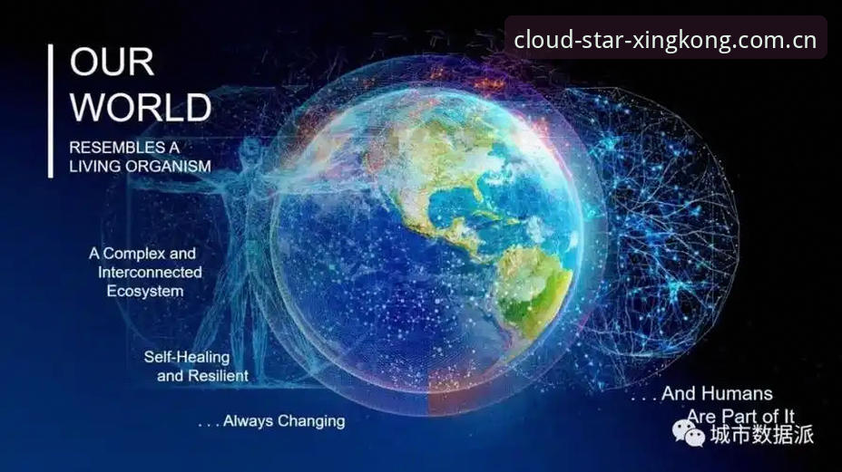 星空平台CN注册入口和普通版有何不同？一组数据告诉你答案